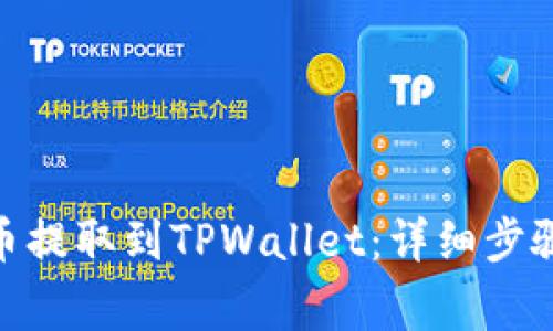 如何将BNB币提取到TPWallet：详细步骤与注意事项