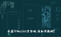 币在TPWallet里没啦，该如何