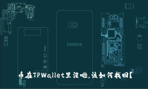 币在TPWallet里没啦，该如何找回？