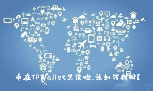 币在TPWallet里没啦，该如何找回？