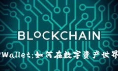 Doge币与TPWallet：如何在数