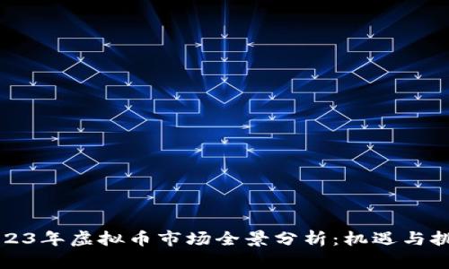 2023年虚拟币市场全景分析：机遇与挑战