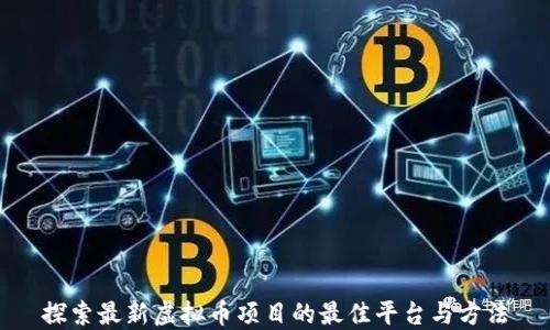 
探索最新虚拟币项目的最佳平台与方法