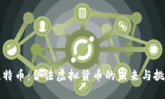 比特币：合法虚拟货币的未来与挑战