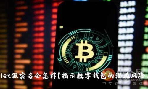 tpwallet假实名会怎样？揭示数字钱包的潜在风险与问题