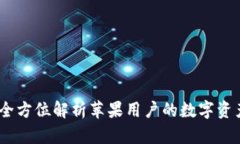 tpwallet：全方位解析苹果用