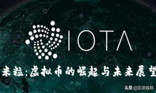 米粒：虚拟币的崛起与未来展望