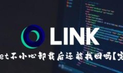 TPWallet不小心卸载后还能找