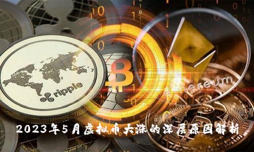 2023年5月虚拟币大涨的深层原因解析
