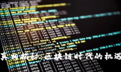 虚拟币真相揭秘：区块链时代的机遇与挑战