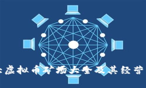 十大虚拟币矿场大全及其经营分析