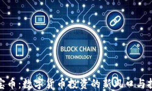 
银宝币：数字货币投资的新风口与挑战