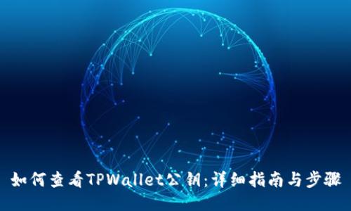如何查看TPWallet公钥：详细指南与步骤