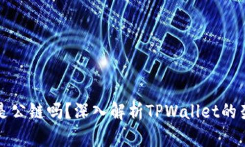 tpwallet是公链吗？深入解析TPWallet的架构与功能