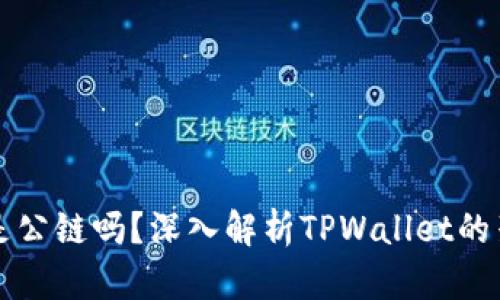 tpwallet是公链吗？深入解析TPWallet的架构与功能