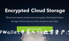 如何在TPWallet中导入BK数字