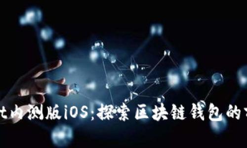 TPWallet内测版iOS：探索区块链钱包的前沿之旅