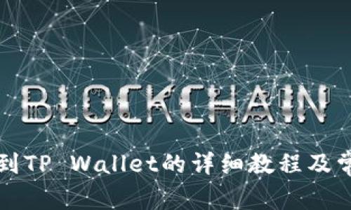 宝贝狗提现到TP Wallet的详细教程及常见问题解答