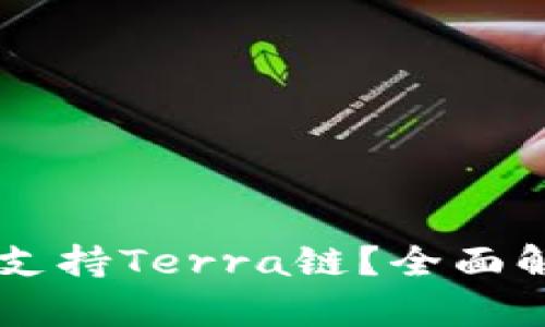 TPWallet是否支持Terra链？全面解析及使用指南