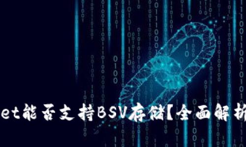 TPWallet能否支持BSV存储？全面解析与指南