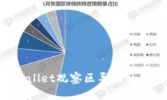 如何在TPWallet观察区导出私