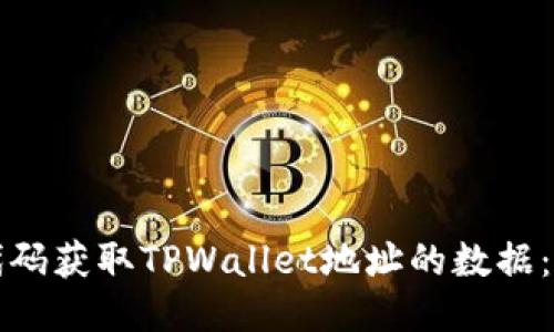 如何用代码获取TPWallet地址的数据：全面指南