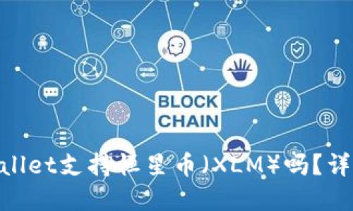 soundcloud TPWallet支持恒星币（XLM）吗？详细解答与使用指南