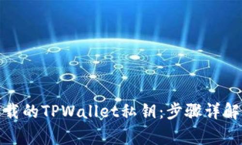: 如何导入新下载的TPWallet私钥：步骤详解与常见问题解答