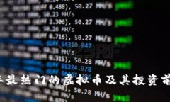 2023年最热门的虚拟币及其投资前景分析