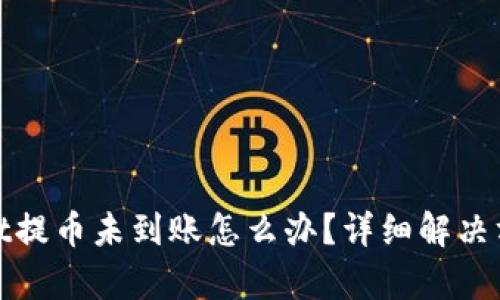 tpwallet提币未到账怎么办？详细解决方案解析