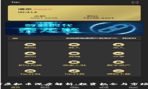 SDUT虚拟币深度解析：投资机会与市场动态