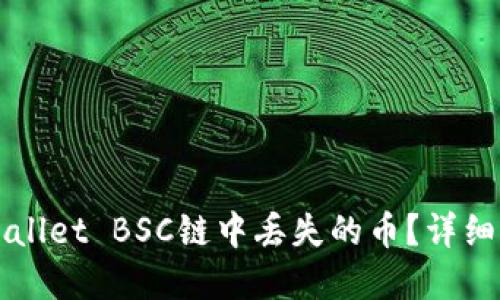 如何找回在TPWallet BSC链中丢失的币？详细步骤与解决方案