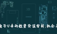 虚拟电子U币的投资价值分析：机会与风险
