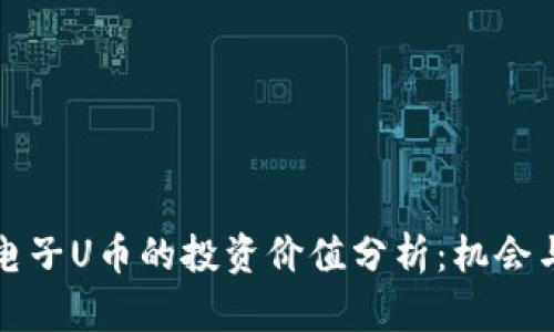 虚拟电子U币的投资价值分析：机会与风险