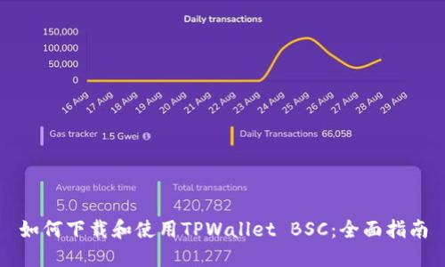 如何下载和使用TPWallet BSC：全面指南