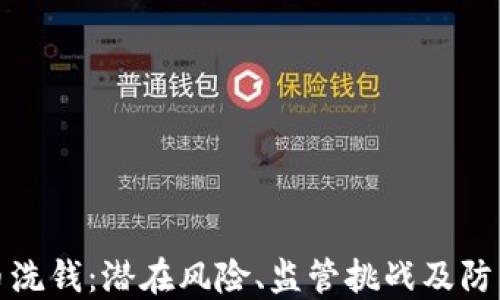 
虚拟币洗钱：潜在风险、监管挑战及防范措施