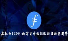 虚拟币BCDM：数字货币的新选择与投资前景