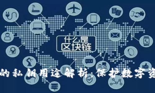 TPWallet中的私钥用途解析：保护数字资产的重要性