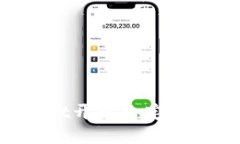 如何使用TPWallet开发自定义