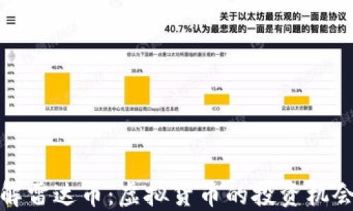 
深入了解雷达币：虚拟货币的投资机会与风险