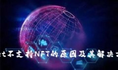 TPWallet不支持NFT的原因及其