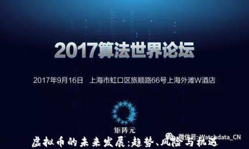 
虚拟币的未来发展：趋势、风险与机遇