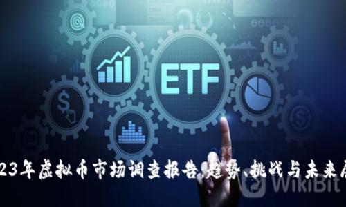 2023年虚拟币市场调查报告：趋势、挑战与未来展望